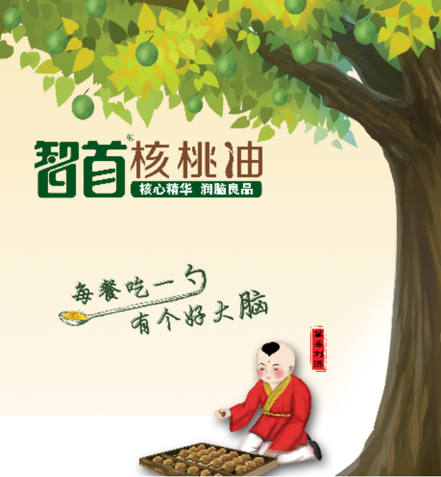 智首核桃油·千年智脉的流淌
